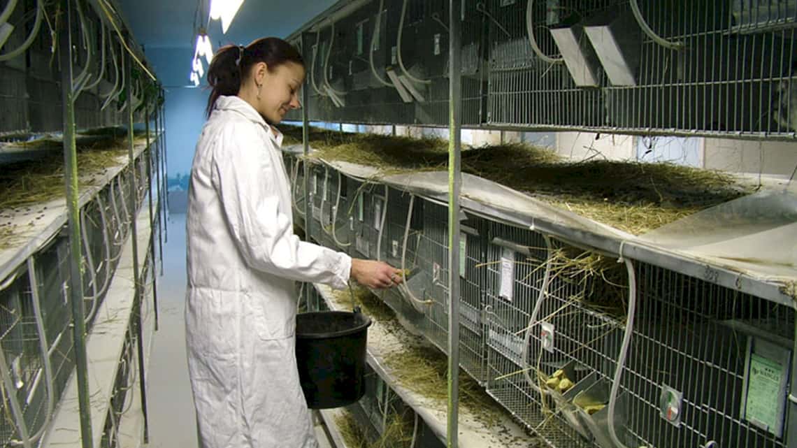 Breeding Basics